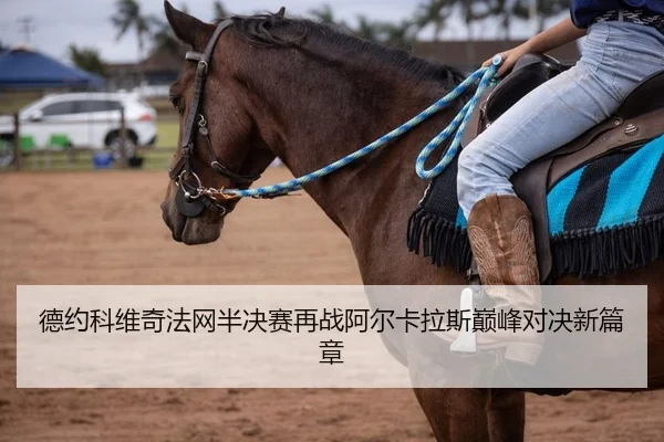 德约科维奇法网半决赛再战阿尔卡拉斯巅峰对决新篇章